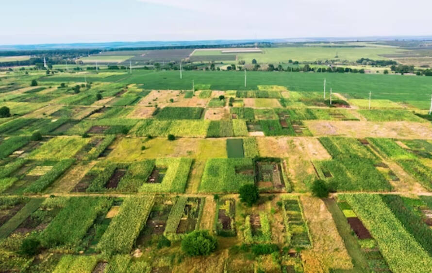 BUYING THE PLOT FROM THE RIGHT DEVELOPER