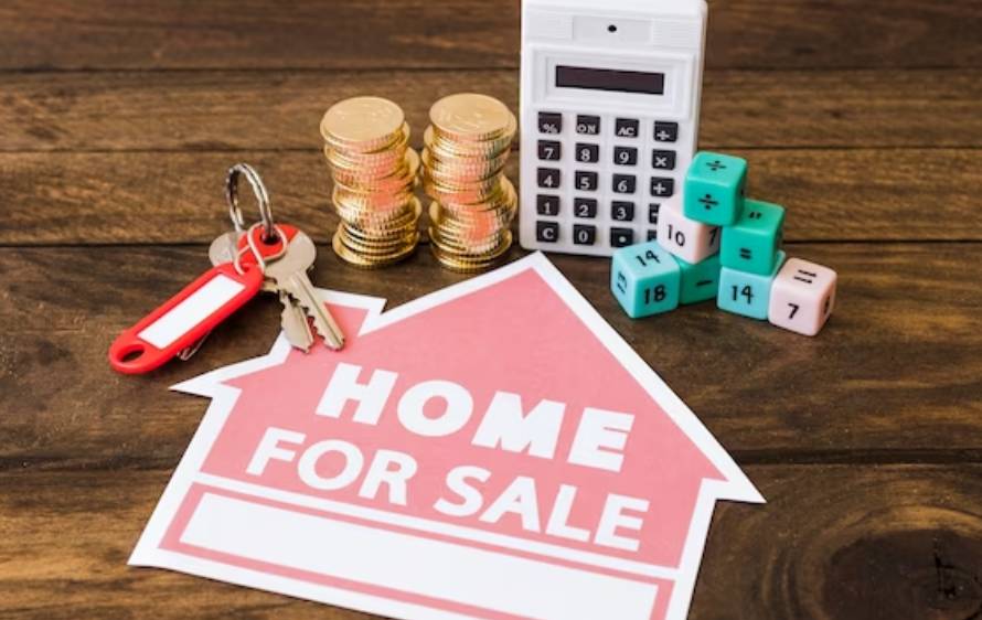 initial investment required for buying a plot