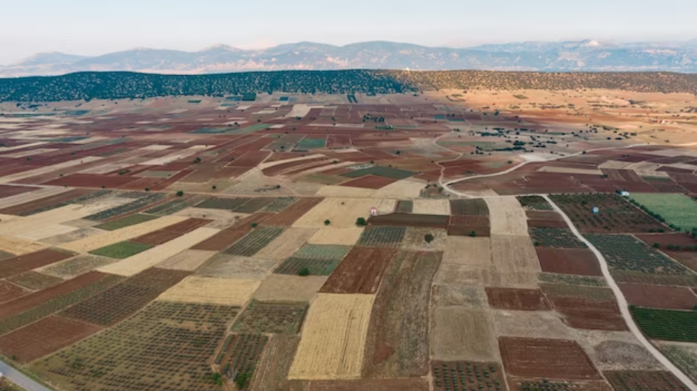 buyer financed the purchase of the land
